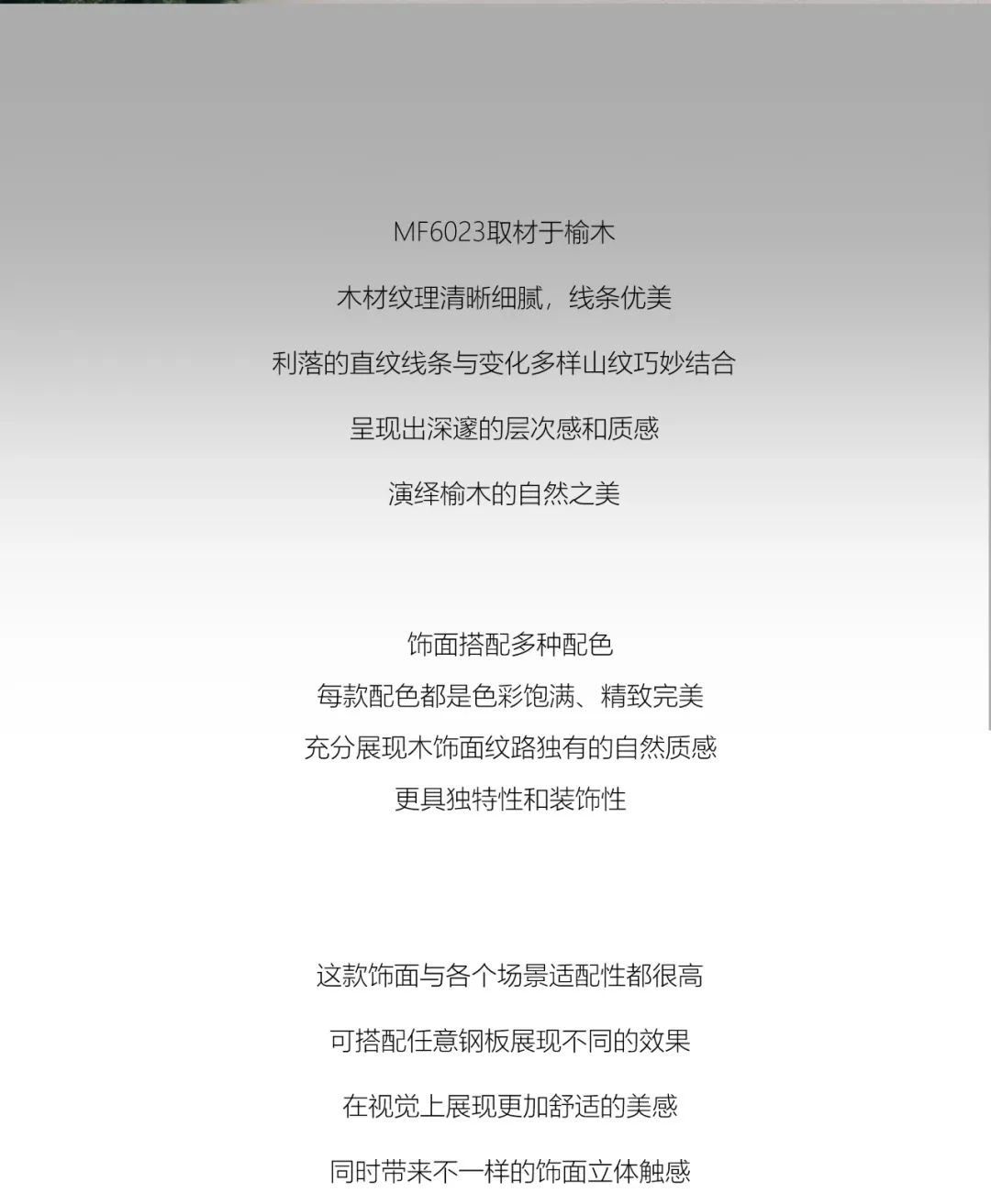 1735527456203181.jpg