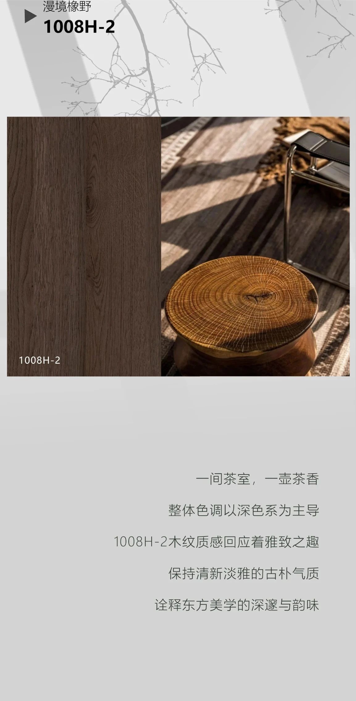 1735529680155064.jpg